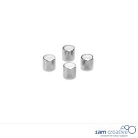 Set Glasmagnete Edelstahl-Optik Zylinder 4 Stück